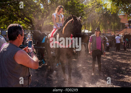 Les cavaliers et les chevaux dans le corral à la Fiesta de San Sebastian, La Caleta, Costa Adeje, Tenerife, Canaries, Espagne. Banque D'Images