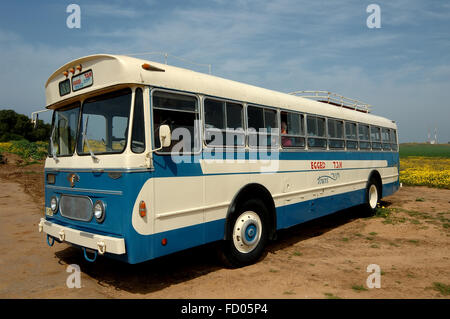 Vieux bus Egged, Leyland, tigre Royal, Banque D'Images