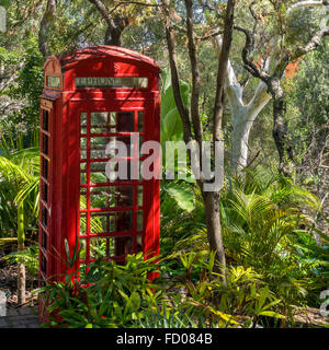 Téléphone fort dans les bois Gibraltar Banque D'Images