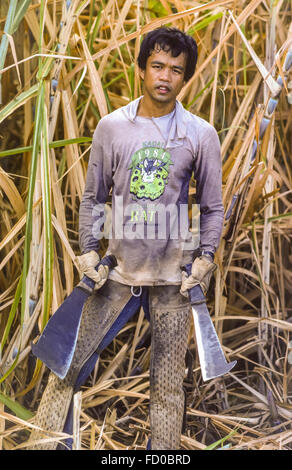 KAUAI, HAWAII - Coupeuse de canne à sucre à la machette dans la canne sur terrain ferme. 1984 Banque D'Images