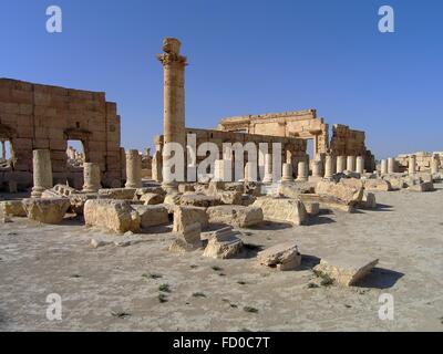 Les ruines de l'Empire romain d'Agora dans l'ancienne ville sémitique de Palmyre 16 juin 2006 dans l'actuelle Syrie, Homs, Tadmur. Découvertes archéologiques la ville date de la période néolithique et il a été détruit par des militants de l'État islamique en 2015. Banque D'Images