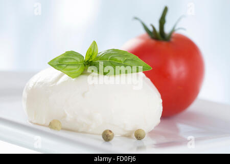 La mozzarella avec tomates et basilic. Banque D'Images