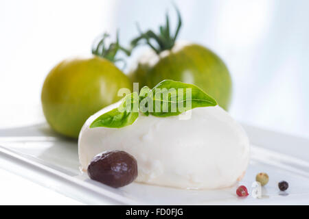 La mozzarella avec tomates et basilic. Banque D'Images