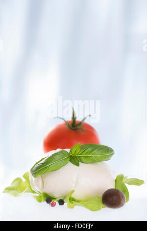 La mozzarella avec tomates et basilic. Banque D'Images