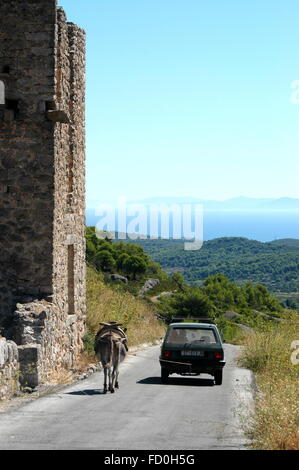 Location et de l'âne sur l'ancienne route - île de Vis, Dalmatie, Croatie Banque D'Images