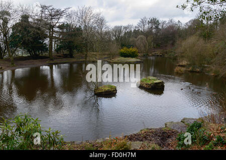 Étang sur les jardins en terrasses, Rivington Pike Banque D'Images