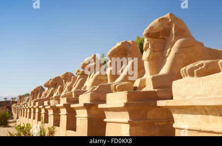 Égypte - Avenue De Rams en Temple de Karnak Banque D'Images