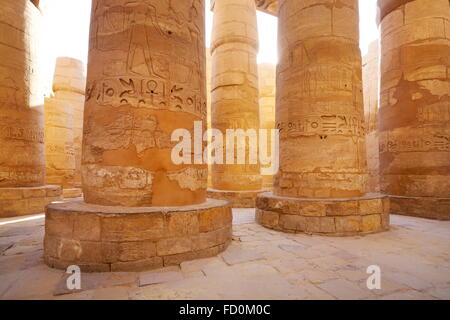 Egypte - Temple de Karnak, salle hypostyle, Luxor, Egypt Banque D'Images