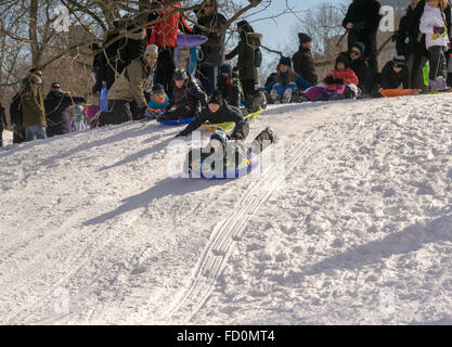 Les visiteurs de Central Park en traîneau l'après Tempête Jonas le Dimanche, Janvier 24, 2016. Le blizzard de dumping de 26,8 pouces sur Central Park ce qui en fait le deuxième montant le plus élevé depuis que l'on a commencé en 1869. (© Richard B. Levine) Banque D'Images