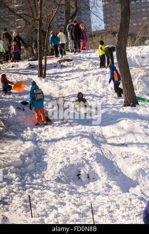 Les visiteurs de Central Park en traîneau l'après Tempête Jonas le Dimanche, Janvier 24, 2016. Le blizzard de dumping de 26,8 pouces sur Central Park ce qui en fait le deuxième montant le plus élevé depuis que l'on a commencé en 1869. (© Richard B. Levine) Banque D'Images