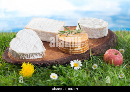 Speciaity le fromage de Normandie France Banque D'Images