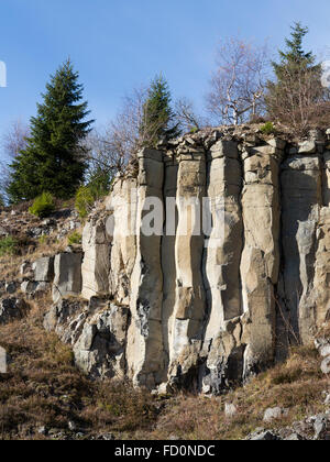 Ancienne carrière de basalte dans les Monts métallifères - colonnes de basalte Banque D'Images