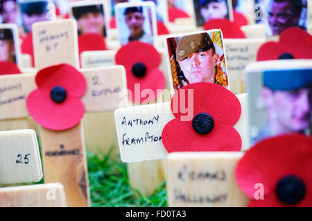 Londres - 9 novembre 2014 : coquelicots à l'abbaye de Westminster Jardin du souvenir, le 9 novembre 2014, Londres, Royaume-Uni de se rappeler les Banque D'Images