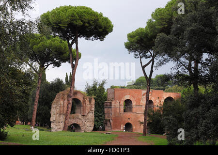 Nero (aqueduc Aqua Claudia) sur la colline du Palatin (Palatino) à Rome, Italie Banque D'Images