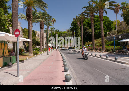 L'Avenue des Palmiers par Nerantzia château dans la ville de Kos Banque D'Images