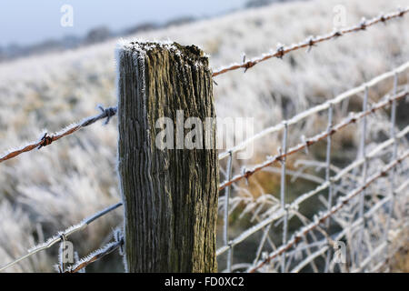 Clôture en fil barbelé Banque D'Images