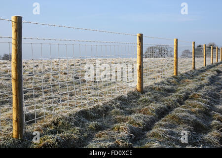 Clôture sur frosty field dans le Warwickshire, Angleterre, RU Banque D'Images