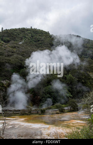 Les terrasses de marbre dans la Vallée volcanique de Waimangu sur l'île Nord de la Nouvelle-Zélande sont construites par un 97 °C chaud printemps. Banque D'Images