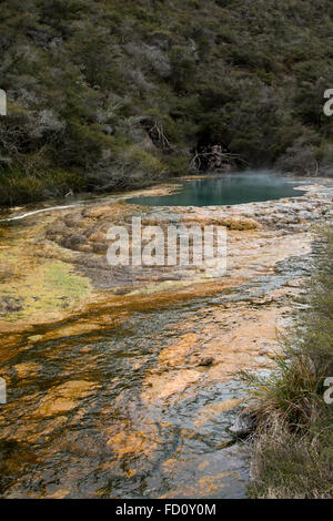 Le Lac Bleu est une source d'eau chaude la prestation de l'eau riche en silice qui développent les Terrasses Warbrick dans la vallée de Waimangu. Banque D'Images