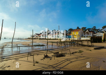 L'ostréiculture, Les Jacquets, Lege Cap Ferret, bassin d'Arcachon, Gironde, France Banque D'Images