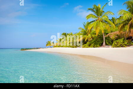 Paysage Plage Maldives Banque D'Images