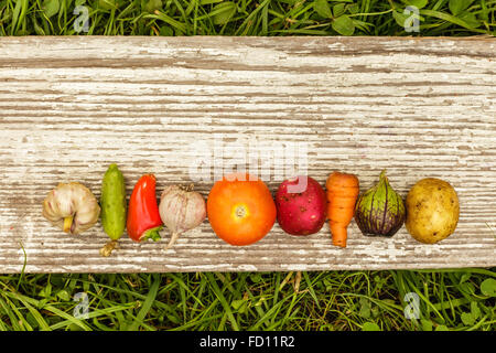 Les légumes disposés dans une rangée avec un espace vide pour le texte sur un fond gris de planches en bois Banque D'Images