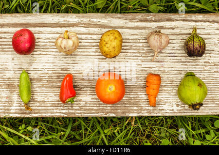 Les légumes disposés dans une rangée avec un espace vide pour le texte sur un fond gris de planches en bois Banque D'Images