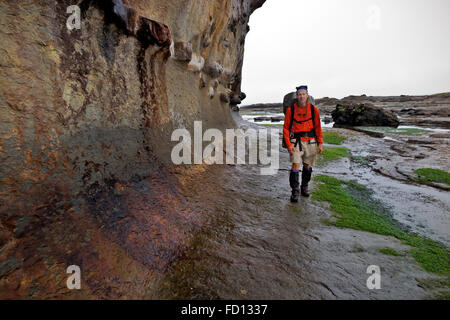 BC - Un goût en direction nord à partir de l'accès à la plage B le long des étagères de grès et près des falaises bordant le détroit de Juan de Fuca. Banque D'Images