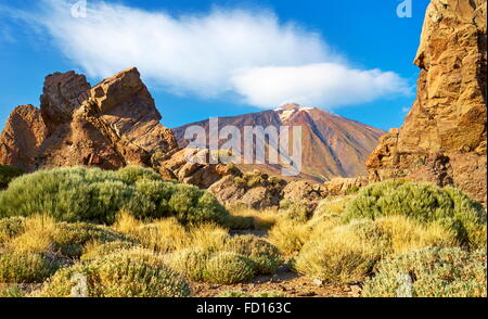 Le Parc National du Teide, Canaries, Tenerife, Espagne Banque D'Images