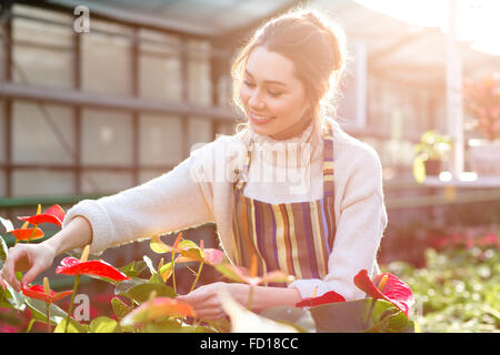 Jolie jeune femme heureuse en prenant soin d'anthuriums jardinier dans garden centre Banque D'Images