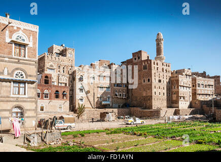 Potager urbain dans la ville de Sanaa au Yémen de la vieille ville Banque D'Images