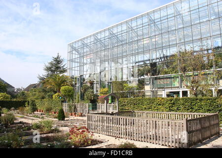 Greenhouse au 16e siècle Hortus Botanicus. Situé sur l'Université de Leiden en canal de Rapenburg, Leyde, Pays-Bas Banque D'Images