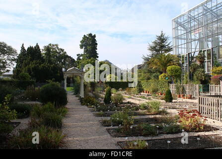 Jardins au 16e siècle Hortus Botanicus. Situé sur l'Université de Leiden en canal de Rapenburg, Leiden, Pays-Bas - Collection Leiden Banque D'Images