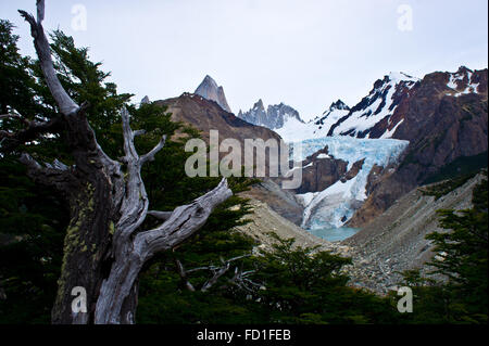 Piedras Blancas Glaciar mirador près de Mont Fitz Roy, le Parc National Los Glaciares, Patagonie, Argentine Banque D'Images