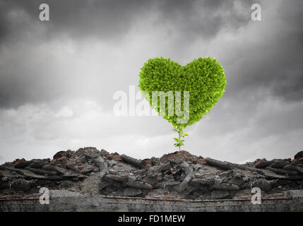 Image conceptuelle avec coeur vert croissant sur les ruines Banque D'Images