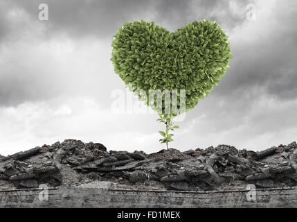 Image conceptuelle avec coeur vert croissant sur les ruines Banque D'Images