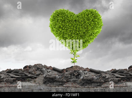 Image conceptuelle avec coeur vert croissant sur les ruines Banque D'Images