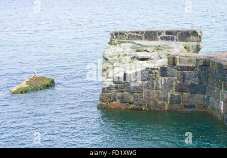 Lamorna Cove endommagé mur du port, Cornwall, England, UK Banque D'Images