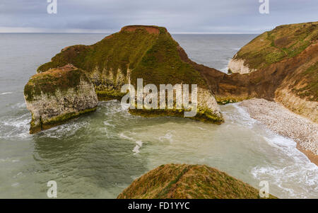 La côte sauvage avec des falaises de craie et de flore que l'aube sur la mer du Nord à Flamborough Head, Yorkshire, UK. Banque D'Images