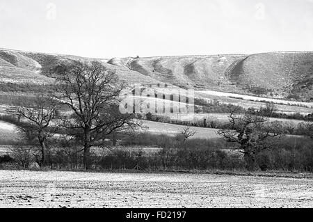 Paysage d'hiver monochromatique sur la North Wessex Downs près de Devizes Wiltshire, UK Banque D'Images