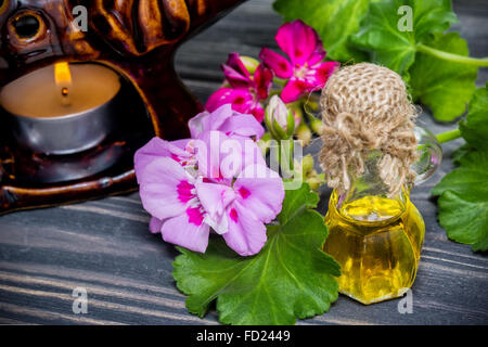 L'huile essentielles de géranium en bouteille et géraniums (fleurs) Banque D'Images