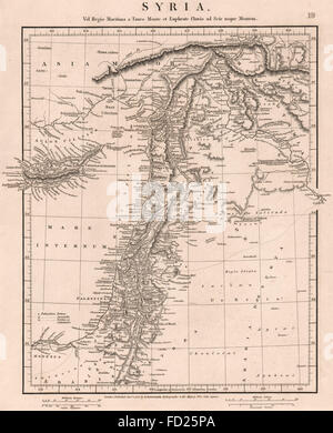 L'ANCIENNE SYRIE : Levant. Chypre Palaestina Jordanie la Judée. ARROWSMITH, 1828 map Banque D'Images