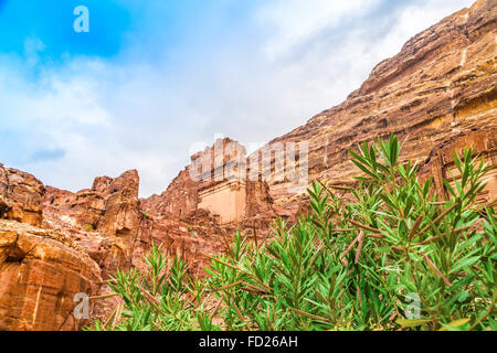 Façade d'un bâtiment magnifique dans le site archéologique de Pétra, en Jordanie, de lauriers-roses plante dans l'avant-plan. Banque D'Images