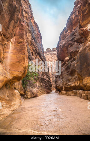 Le Siq, l'encoche étroite-canyon qui sert de couloir d'entrée à la ville cachée de Petra, Jordanie, Banque D'Images