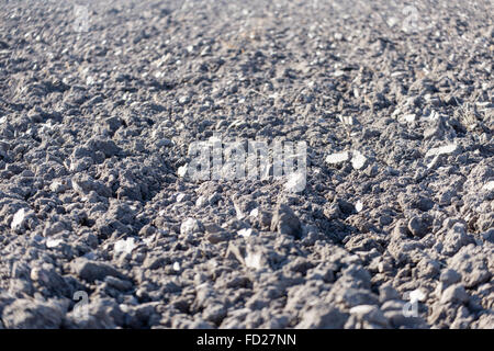 Domaine de l'Agriculture Charrue avant le semis. La texture du sol brun agricoles sèches pour les couches de fond. Champ labouré Backgrou Banque D'Images