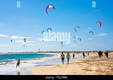 Vue horizontale de kite surfeurs au Cap Vert. Banque D'Images