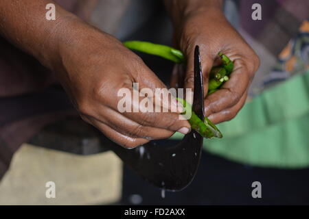 Mumbai, Inde - le 28 octobre 2015 - coupe femme piment et oignons sur un tabouret dans la coupe traditionnelle cuisine indienne Banque D'Images