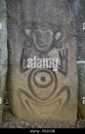 Rocher sculpté avec petroglyph au centre des cérémonies autochtones Caguana. Utuado, Puerto Rico. L'île des Caraïbes. Le territoire américain. Banque D'Images