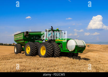 Tracteur John Deere tirant un chariot de céréales au cours de récoltes de blé dans la région de Eastern Washington Palouse Banque D'Images