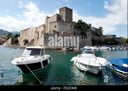 Collioure, port avec plusieurs bateaux et à l'arrière-plan du château Banque D'Images